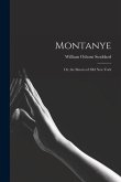 Montanye: or, the Slavers of Old New York