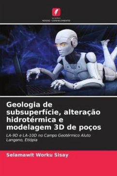 Geologia de subsuperfície, alteração hidrotérmica e modelagem 3D de poços - Sisay, Selamawit Worku