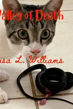 Cover Valley of Death