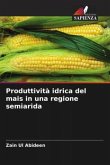 Produttività idrica del mais in una regione semiarida