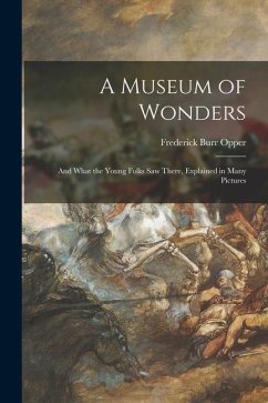 A Museum of Wonders: and What the Young Folks Saw There, Explained in Many Pictures - Opper, Frederick Burr
