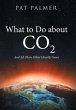 What to Do About Co2 - Bild 1