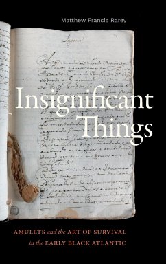 Insignificant Things - Rarey, Matthew Francis