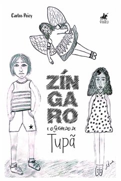 Zíngaro e o segredo de Tupã (eBook, ePUB) - Peicy, Carlos