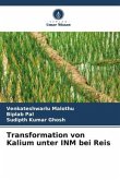 Transformation von Kalium unter INM bei Reis