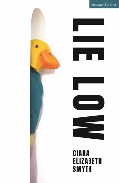 Lie Low (eBook, ePUB) Cover Lie Low (eBook, ePUB)
