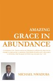 Amazing Grace in Abundance (eBook, ePUB)