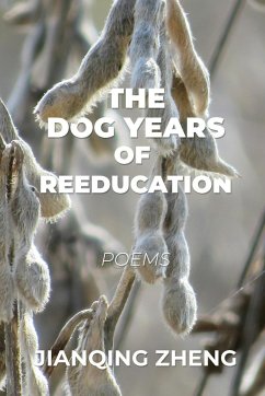 The Dog Years of Reeducation - Zheng, Jianqing