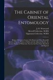 The Cabinet of Oriental Entomology: Being a Selection of Some of the Rarer and More Beautiful Species of Insects, Natives of India and the Adjacent Is