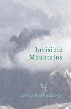 Invisible Mountains - Rothenberg, David