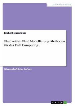 Fluid within Fluid Modellierung. Methoden für das FwF Computing - Felgenhauer, Michel