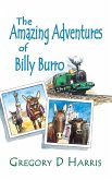The Amazing Adventures of Billy Burro