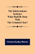 The Indeterminate Sentence What Shall... - Bild 1
