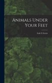 Animals Under Your Feet