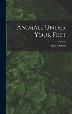 Animals Under Your Feet - Green, Ivah E.