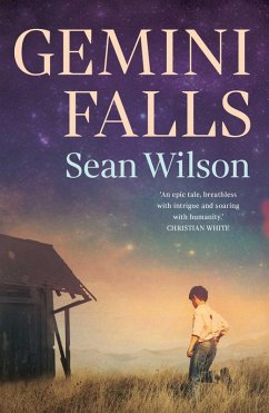 Cover Gemini Falls (eBook, ePUB)