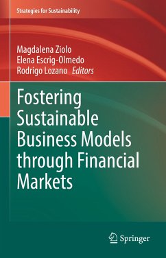 Fostering Sustainable Business Models through Financial Markets (eBook, PDF)