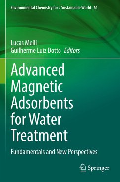 Advanced Magnetic Adsorbents for Water Treatment