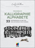 Praxisbuch Kalligraphie Alphabete (eBook, PDF)