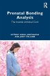 Prenatal Bonding Analysis - Bild 1