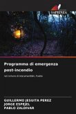 Programma di emergenza post-incendio