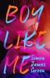 Boy Like Me - Bild 1