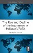 The Rise and Decline of the Insurgency... - Bild 1