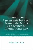 International Agreements between Non-State Actors as a Source of International Law (eBook, ePUB) International Agreements between Non-State Actors as a Source of International Law (eBook, ePUB)