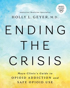 Ending the Crisis (eBook, ePUB) - Geyer, Holly