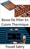 Bosse De Pilier En Cuivre Thermique (eBook, ePUB)