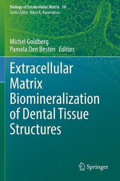 Extracellular Matrix Biomineralization of Dental Tissue Structures
