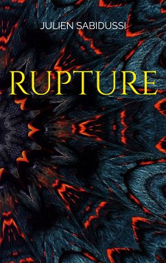 Rupture (eBook, ePUB) - Sabidussi, Julien