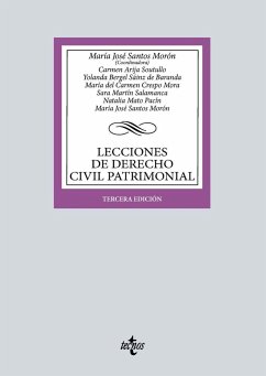 Lecciones de Derecho Civil Patrimonial