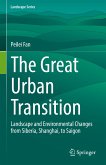 The Great Urban Transition (eBook, PDF)