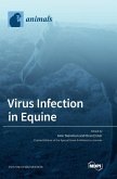 Virus Infection in Equine