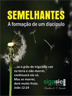 Semelhantes (eBook, ePUB) - Claudio Duarte, Claudio Henrique Cerqueira Duarte