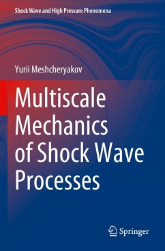 Multiscale Mechanics of Shock Wave Processes - Meshcheryakov, Yurii