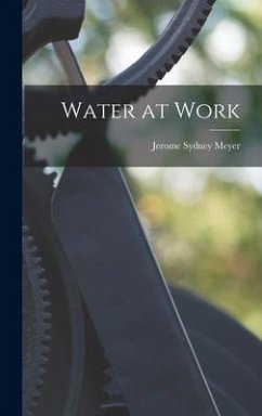 Water at Work - Meyer, Jerome Sydney