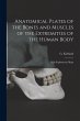 Anatomical Plates of the Bones and... - Bild 1