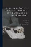 Anatomical Plates of the Bones and Muscles of the Extremities of the Human Body: With Explanatory Maps