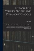 Botany for Young People and Common Schools; How Plants Grow, a Simple Introduction to Structural Botany, With a Popular Flora, or an Arrangement and D