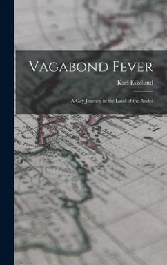 Vagabond Fever; a Gay Journey in the Land of the Andes