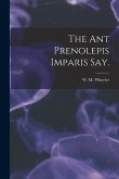 The Ant Prenolepis Imparis Say.