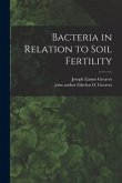 Bacteria in Relation to Soil Fertility