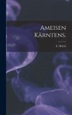 Ameisen Kärntens.