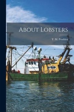 About Lobsters