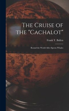 The Cruise of the 
