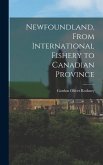 Newfoundland, From International Fishery to Canadian Province