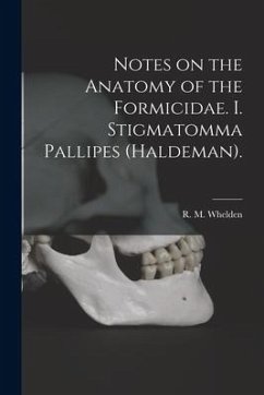 Notes on the Anatomy of the Formicidae. I. Stigmatomma Pallipes (Haldeman).