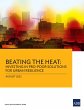 Beating the Heat (eBook, ePUB) - Bild 1
